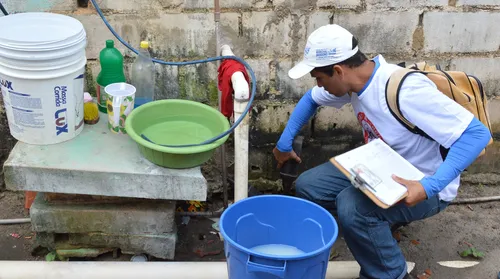 Alagoas enfrenta explosão de casos de dengue, chikungunya e zika no primeiro semestre - Imagem