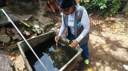 Casos de dengue e chikungunya sobem mais de 25% em AL e somam seis mortes - Imagem