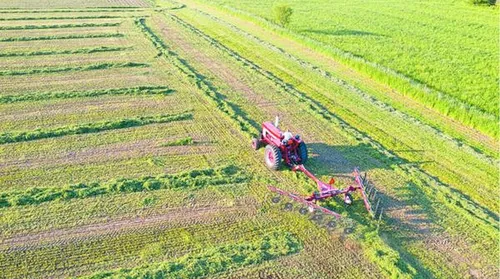 Medida Provisória institui apoio financeiro a produtores rurais e cooperativas afetados pelo clima - Imagem