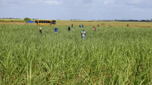 PIB de Alagoas deve atingir R$ 109 bilhões em 2026, aponta estudo - Imagem