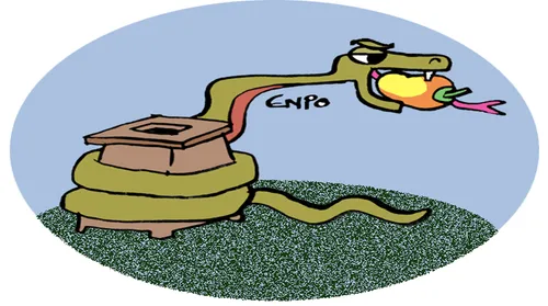 Planalto e Itamaraty mentiram sobre crise com EUA - Imagem