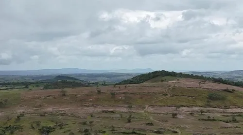 Polícia Federal prende homem apontado por devastar área equivalente a 800 campos de futebol na Caatinga - Imagem
