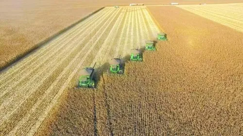 Recuperação judicial no agro cresce 66% em um ano no Brasil - Imagem
