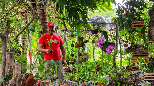 Viveiros do MST em Alagoas cultivam mudas nativas para recuperar nascentes e biomas - Imagem