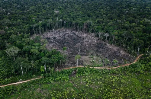 Amazônia tem menor índice de desmatamento da década