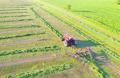 Medida Provisória institui apoio financeiro a produtores rurais e cooperativas afetados pelo clima