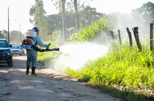 MP recomenda e União dos Palmares inicia ações para combater infestação de moscas