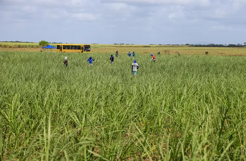 PIB de Alagoas deve atingir R$ 109 bilhões em 2026, aponta estudo