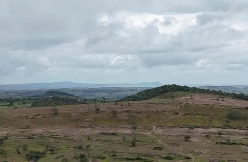 Polícia Federal prende homem apontado por devastar área equivalente a 800 campos de futebol na Caatinga