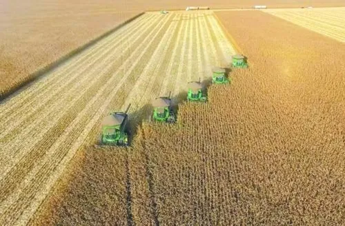 Recuperação judicial no agro cresce 66% em um ano no Brasil