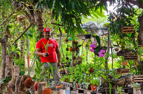 Viveiros do MST em Alagoas cultivam mudas nativas para recuperar nascentes e biomas