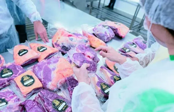 Carne premium de Alagoas ganha escala regional com cooperativa e uso de IA