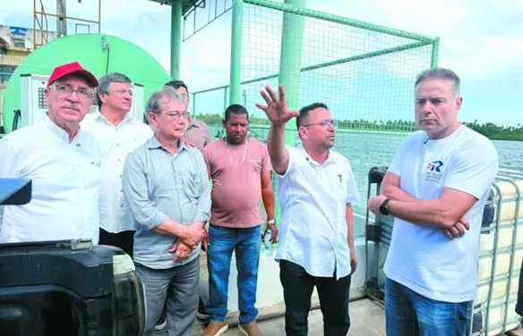 Coopaiba mostra resultados da assistência técnica no campo
