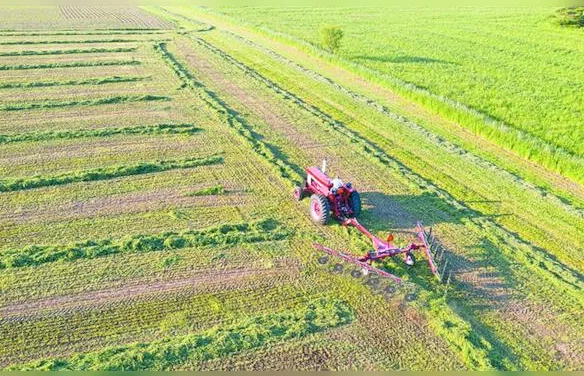 Medida Provisória institui apoio financeiro a produtores rurais e cooperativas afetados pelo clima