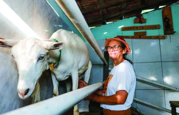 PAA Leite garante renda aos agricultores familiares no Semiárido