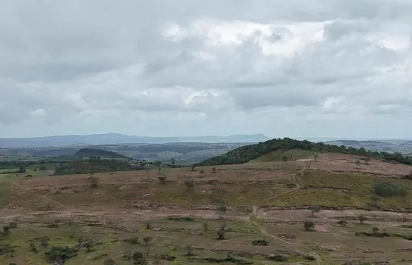 Polícia Federal prende homem apontado por devastar área equivalente a 800 campos de futebol na Caatinga