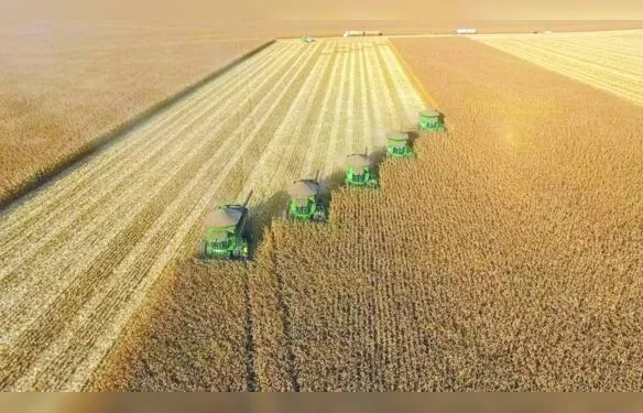 Recuperação judicial no agro cresce 66% em um ano no Brasil