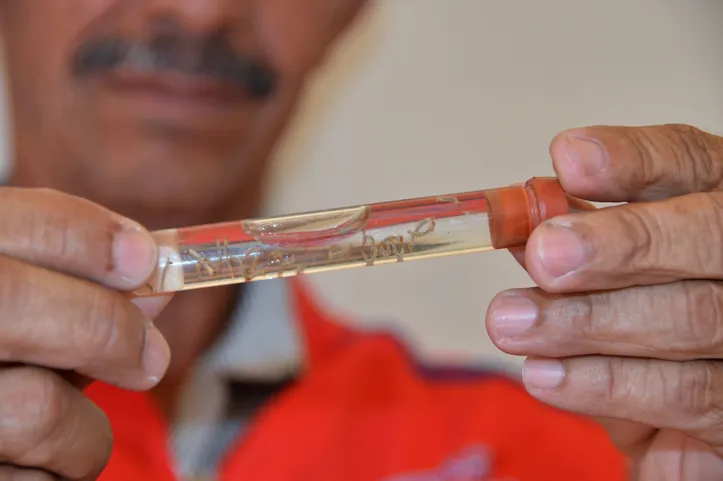 Imagem ilustrativa da imagem Alagoas enfrenta explosão de casos de dengue, chikungunya e zika no primeiro semestre