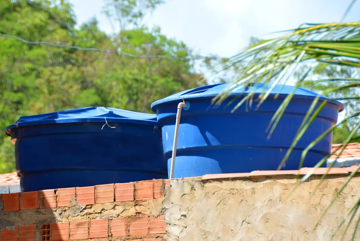 Estudos do Instituto Oswaldo Cruz indicam que entre 70% e 80% dos criadouros do Aedes aegypti estão em ambientes domésticos