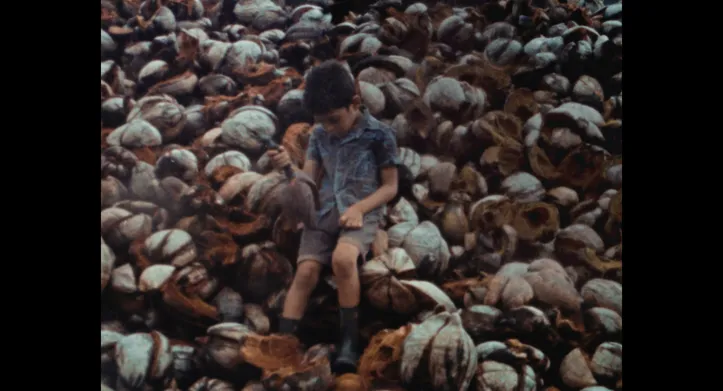Gravado em película Super-8, filme foi escolhido por sua "singularidade poética"
