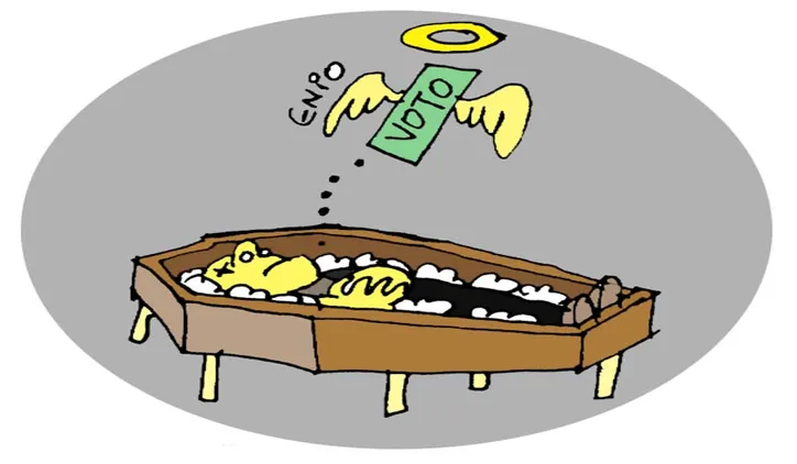 Imagem ilustrativa da imagem Especialistas Refutam "Crime" em Vídeo de Bolsonaro