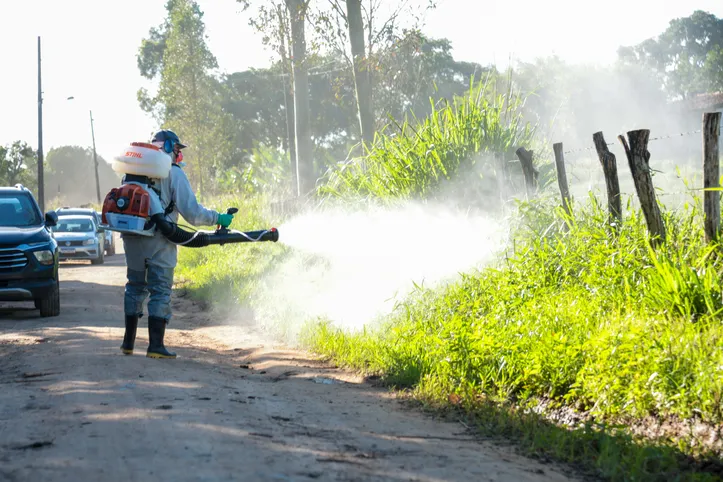 Ações visam diminuir a quantidade de moscas na cidade