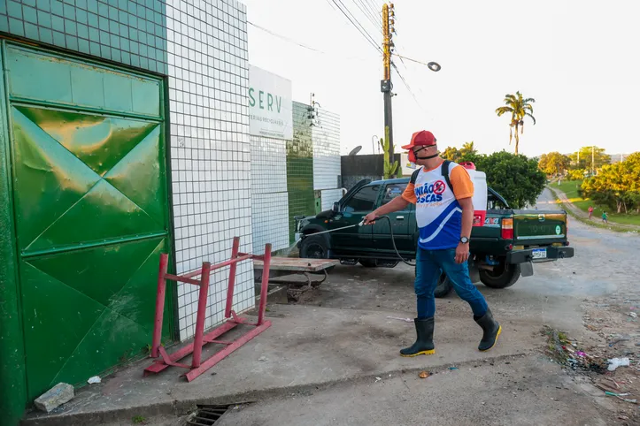 Imagem ilustrativa da imagem MP recomenda e União dos Palmares inicia ações para combater infestação de moscas