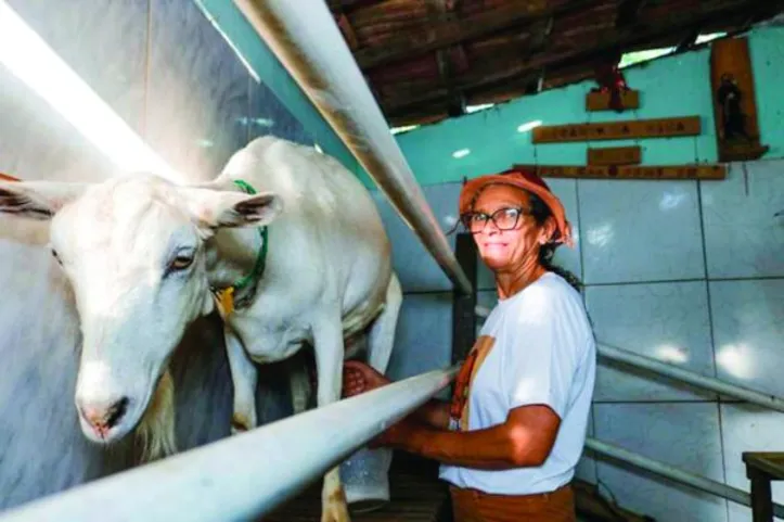 Por meio de recursos públicos do governo do Brasil, a modalidade garante o abastecimento da rede socioassistencial e valoriza o modo de vida tradicional no campo