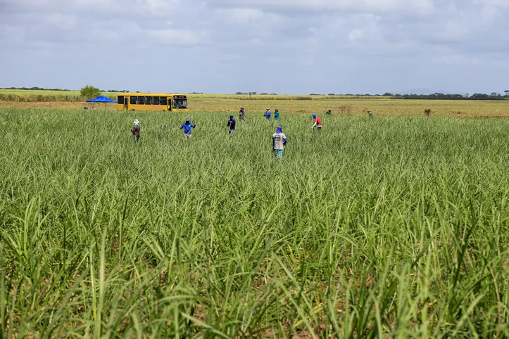 PIB de Alagoas deve crescer 21,5% em quatro anos, diz Etene/BNB