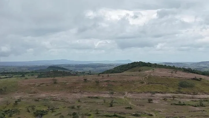 Imagem ilustrativa da imagem Polícia Federal prende homem apontado por devastar área equivalente a 800 campos de futebol na Caatinga