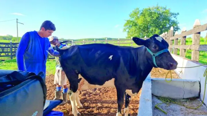 Pecuaristas conhecem a tecnologia e genética que transformam a pecuária familiar em uma atividade mais produtiva e rentável