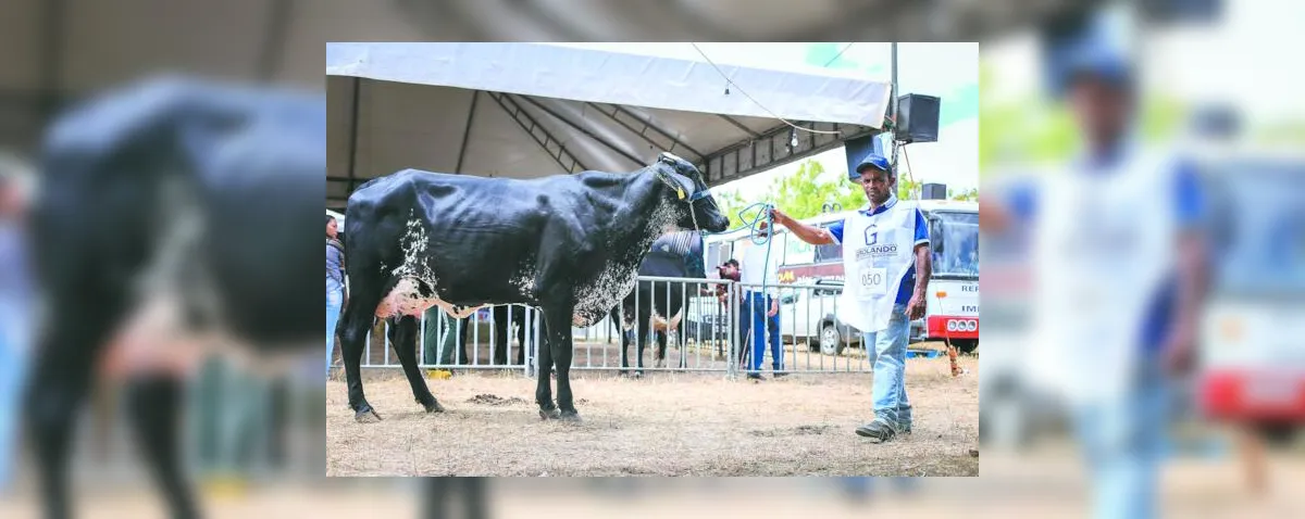 Expo Bacia Leiteira terá foco no fortalecimento da produção leiteira e na agricultura familiar
