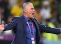 Botafogo oficializa contratação do técnico Tite, ex-Seleção