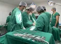Mais da metade das famílias alagoanas nega doação de órgãos