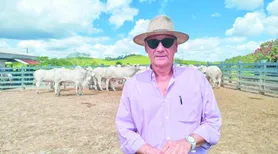 Agrofeira IBC celebra 200 anos da Fazenda Recanto com genética que atravessa gerações