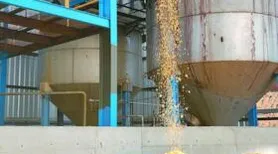 Pindorama é a primeira indústria de AL a receber projeto de transformação digital do Programa NE 4.0