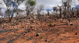 Seca avança em Alagoas e atinge 69% do território estadual
