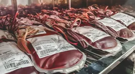 Testemunhas de Jeová têm nova orientação sobre uso de sangue