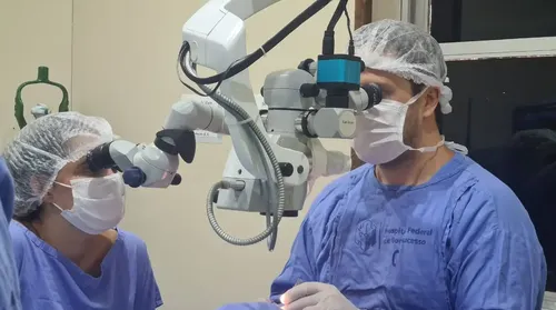 País tem quase 38 mil pessoas à espera de transplante de córnea - Imagem