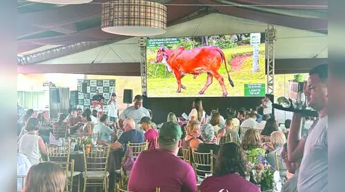 Remates da Expoagro-AL 2026 vão aquecer os negócios da pecuária no Norte e no Nordeste - Imagem