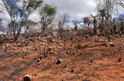 Seca avança em Alagoas e atinge 69% do território estadual