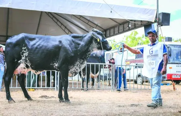 Expo Bacia Leiteira terá foco no fortalecimento da produção leiteira e na agricultura familiar