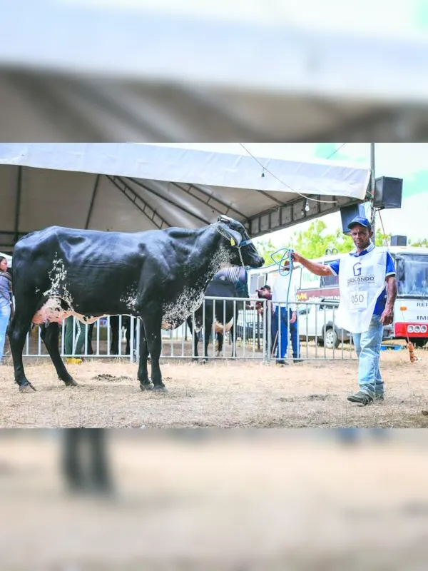 Expo Bacia Leiteira terá foco no fortalecimento da produção leiteira e na agricultura familiar