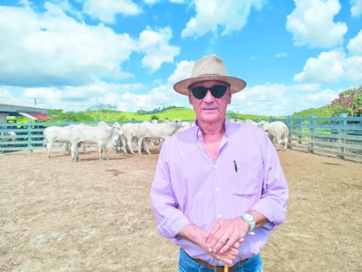 Celso Barros Correia destaca que, além dos números, é necessário avaliar a estrutura, a funcionalidade, a musculatura e a correção dos animais