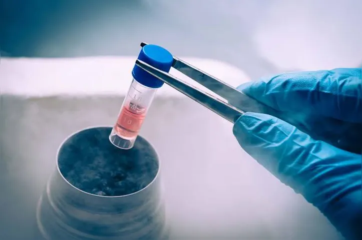 Congelamento de óvulos antes de iniciar o tratamento do câncer pode ser saída para a fertilidade
