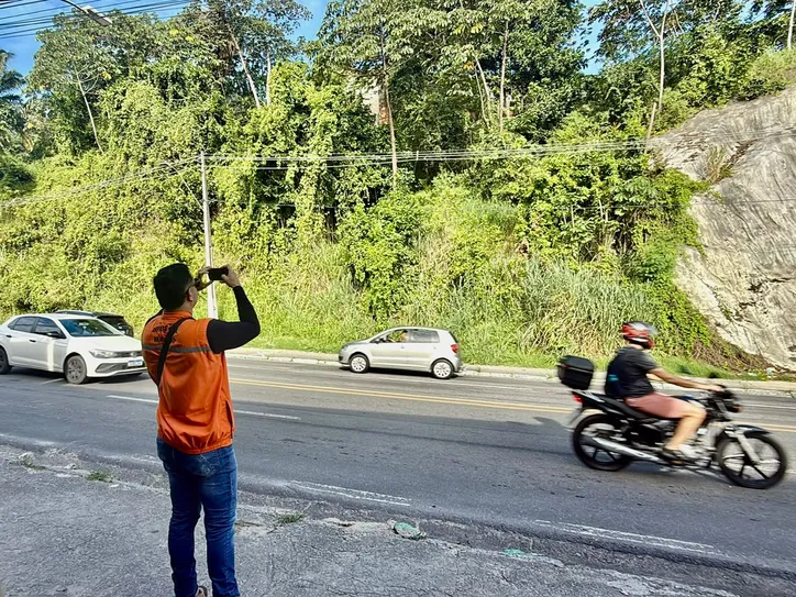 Imagem ilustrativa da imagem Perigo: Defesa Civil recomenda remoção de 53 árvores em Maceió
