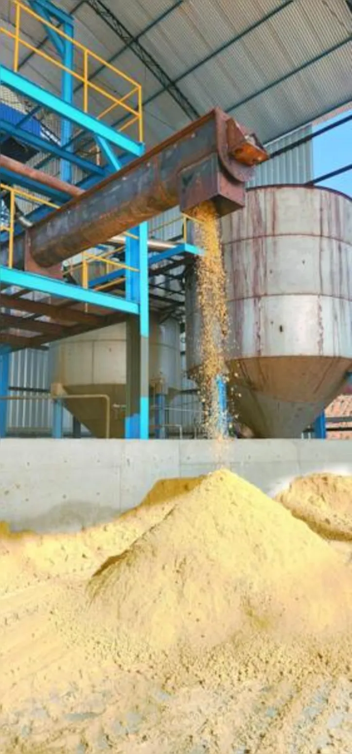 No caso da Pindorama, uma das frentes previstas é o aproveitamento de coprodutos para produzir um farelo com maior concentração de proteína, denominado HP-WDG