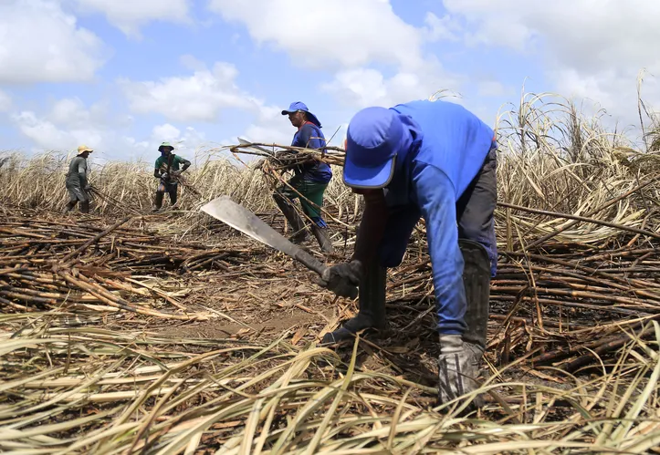 A cana-de-açúcar segue com o maior valor da produção em AL