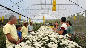 Flores são irrigadas via Wi-Fi em Chã Preta