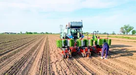VBP da agropecuária brasileira é estimado em R$ 1,44 trilhão